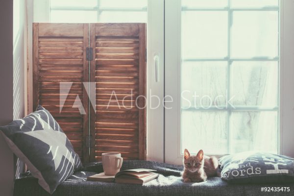 AdobeStock_92435475_Preview