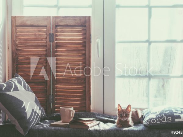 AdobeStock_92435475_Preview